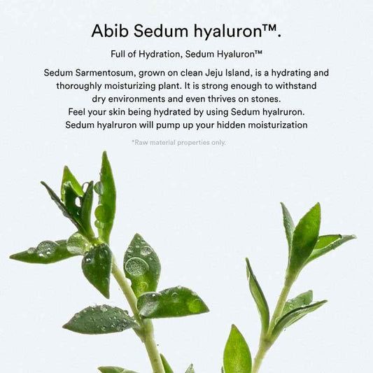 Abib Sedum Hyaluron Pad Hydrating Touch