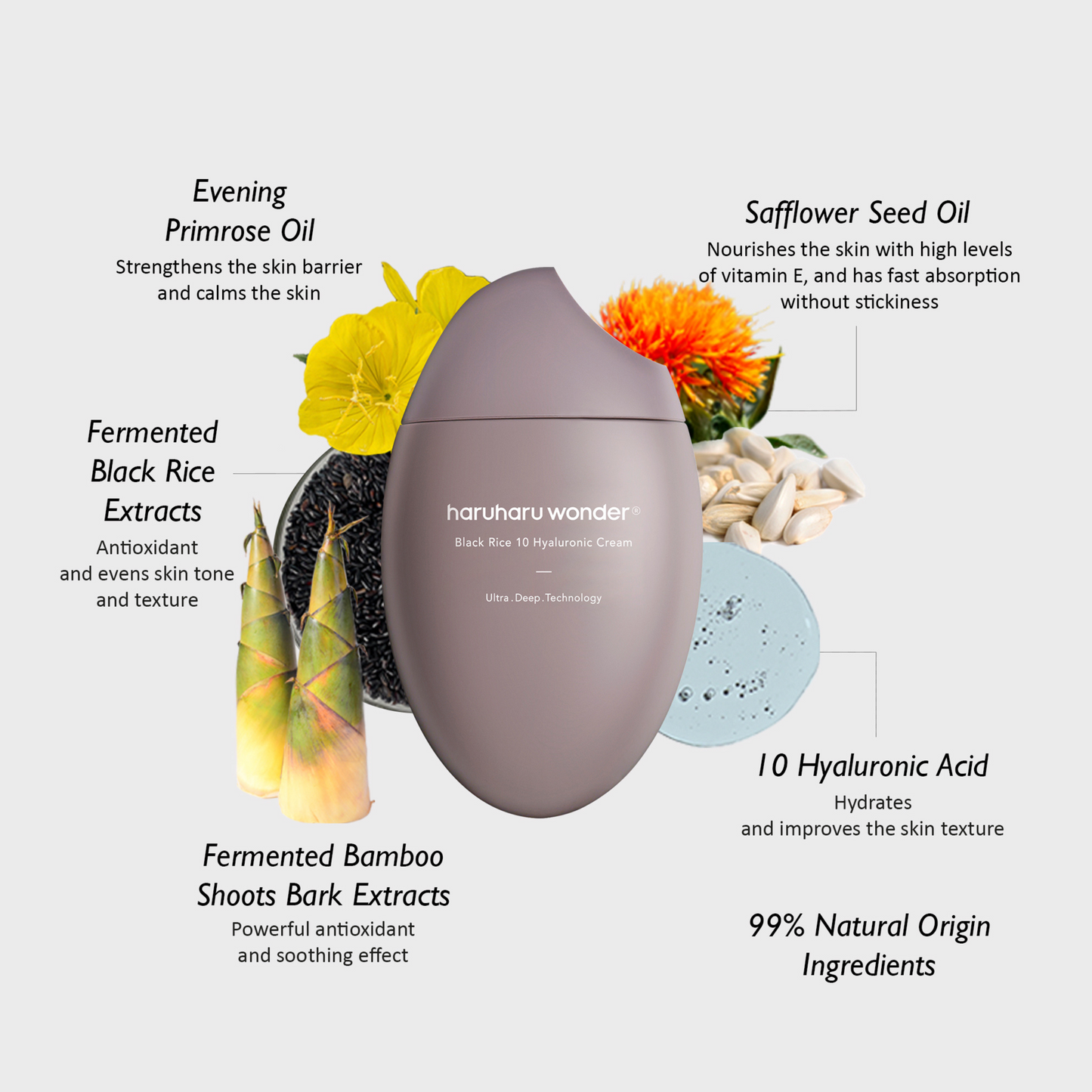 HaruHaru Wonder Black Rice Hyaluronic Cream - SiaBelleStudio